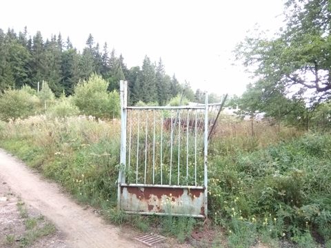 Foto 149